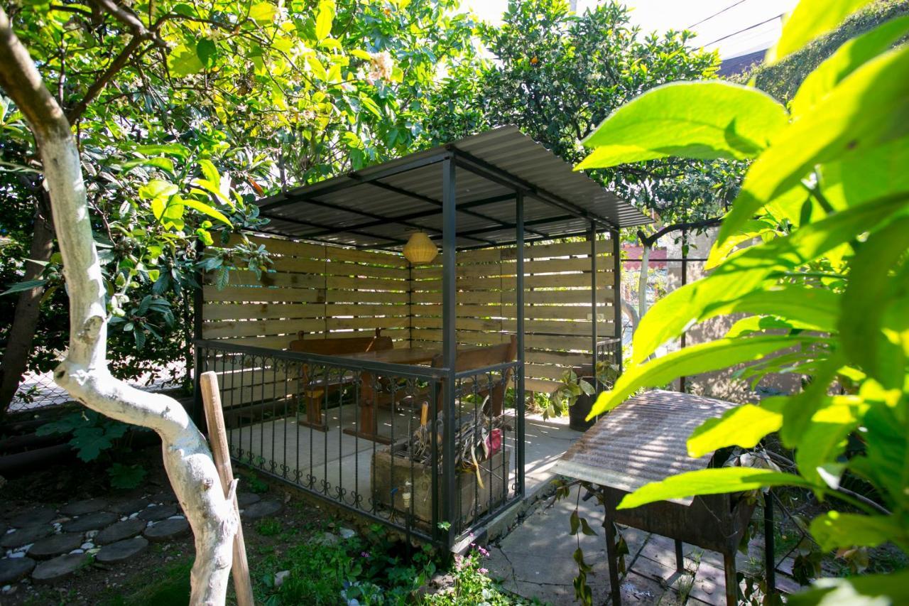 Guest House Lavr Гагра Экстерьер фото