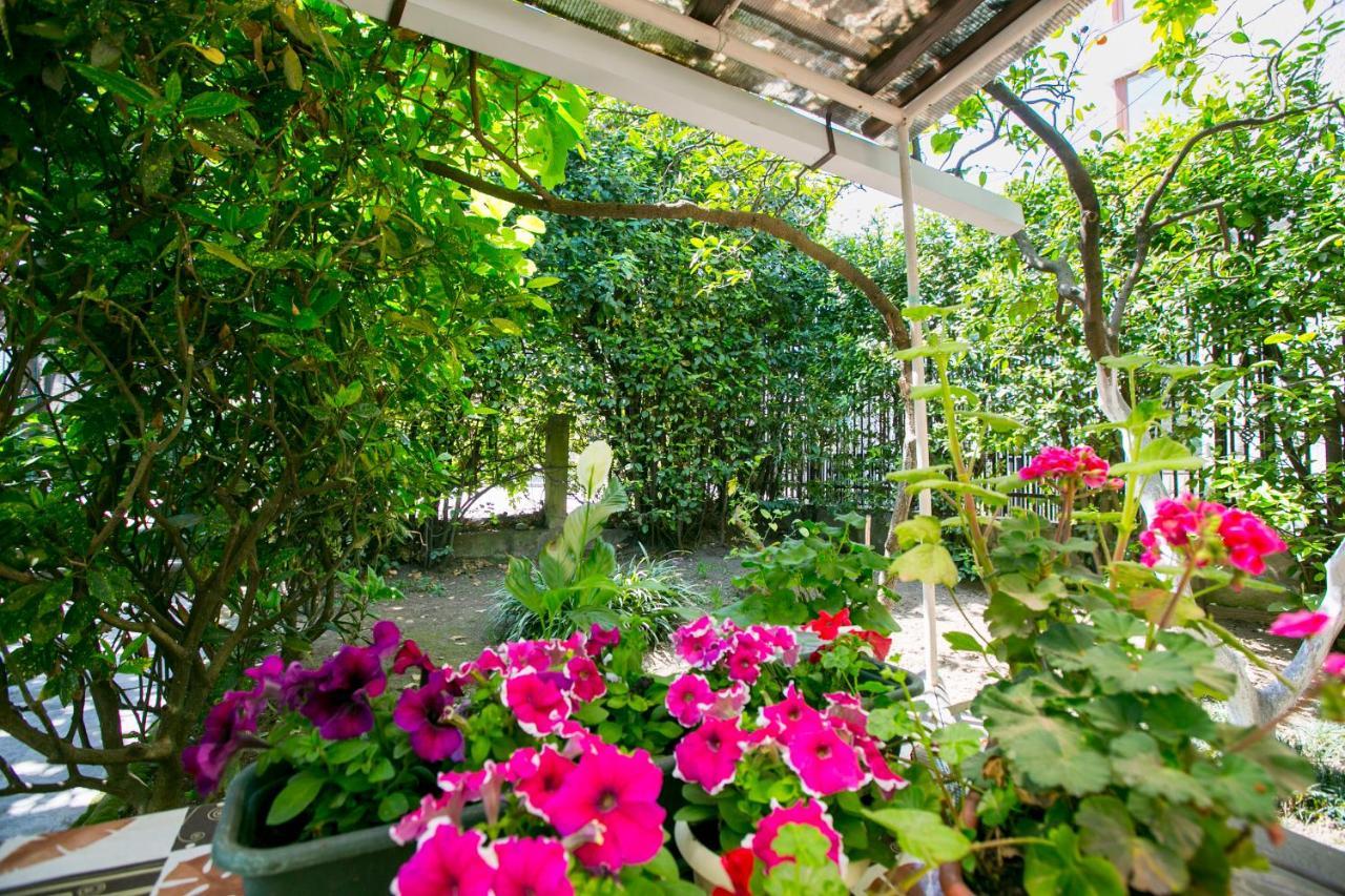 Guest House Lavr Гагра Экстерьер фото