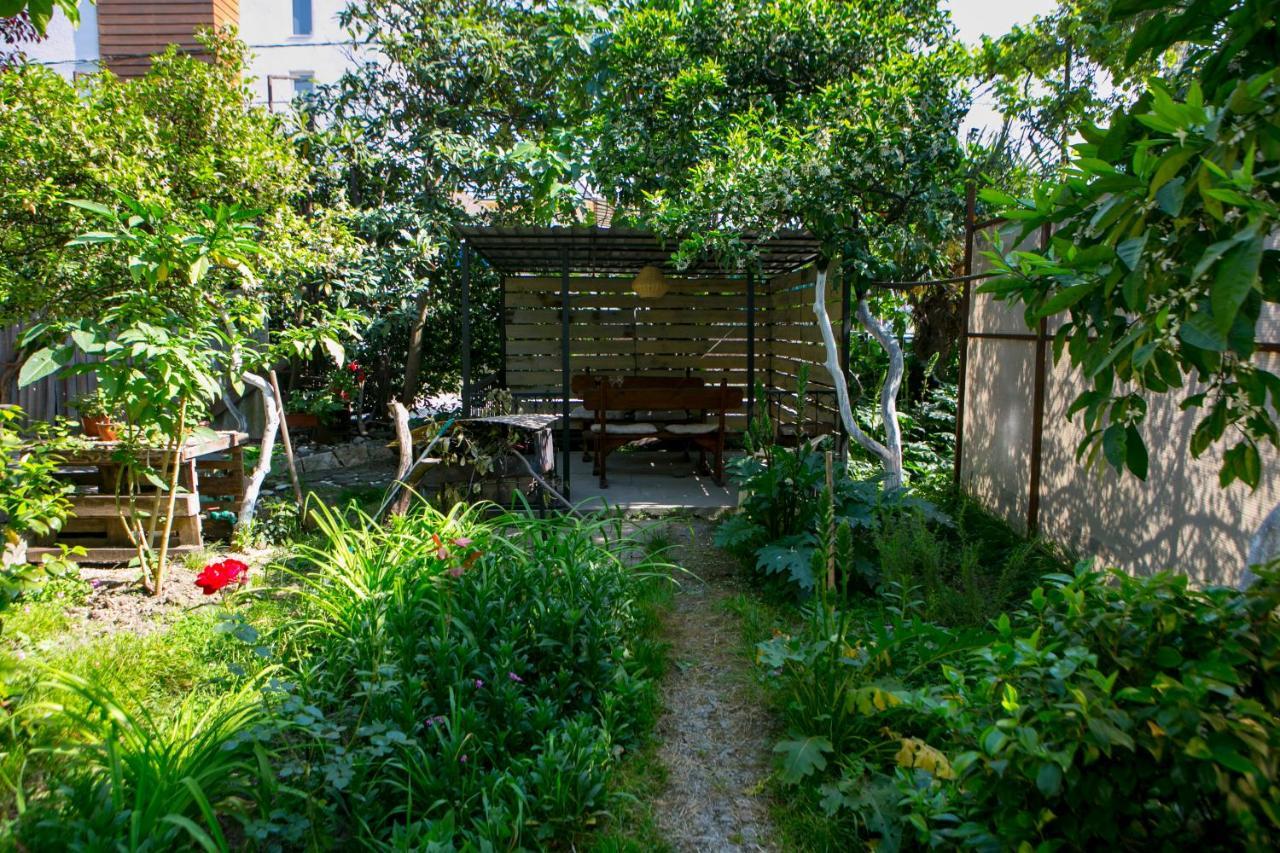 Guest House Lavr Гагра Экстерьер фото
