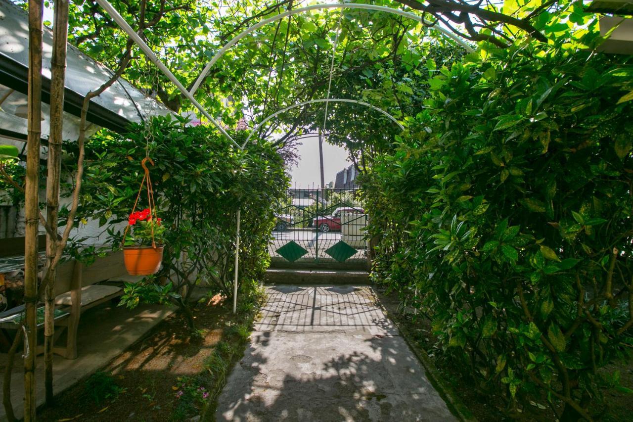 Guest House Lavr Гагра Экстерьер фото